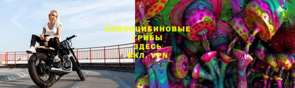 гидропоника Алексин