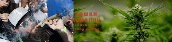 твердый Алзамай